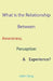 What is the Relationship Between Awareness, Perception & Experience? by John King