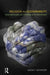 Religion and Sustainability: Sscial Movements and the Politics of the Environment by Lucas F. Johnston