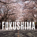 Fukushima: Return to by Rebecca Bathory