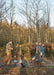 Living with Trees: A Common Ground Handbook