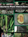 Bacteria-Plant Interactions: Advanced Research and Future Trends by Jesus Murillo