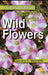 Discovering British Wild Flowers by Deirdre A. Shirreffs