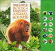 The Little Book of Rainforest Animal Sounds by Andrea Pinnington