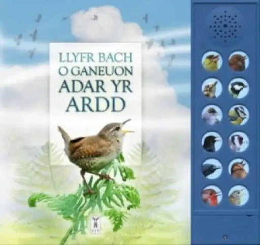 LLYFR BACH O GANEUON ADAR YR ARDD: The Little Book of Garden Bird Songs (Welsh edition) by Andrea Pinnington