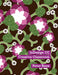Indesign CC Creative Classroom by Bone Peter, Bone Peter