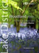 Woodland Walks by Vivienne Crow