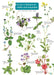 Guide to flowers of walks and waysides by Rebecca Farley-Brown