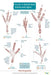 Guide to British bird tracks and signs by Dan Puplett