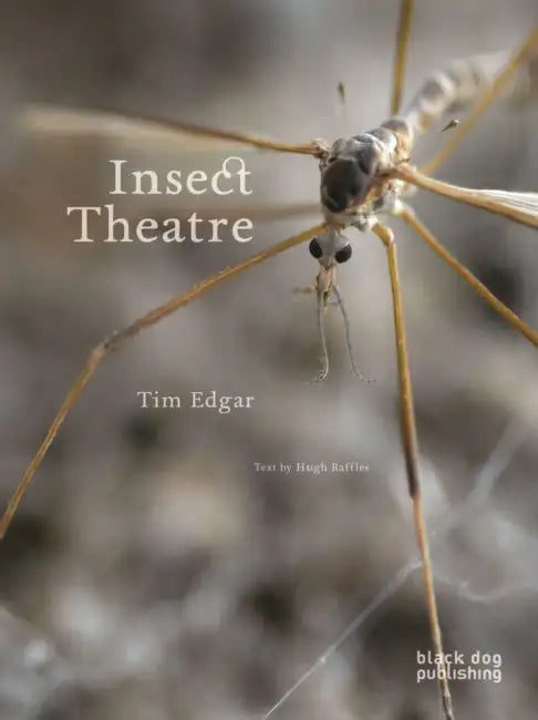 Insect Theatre by Hugh Raffles, Tim Edgar