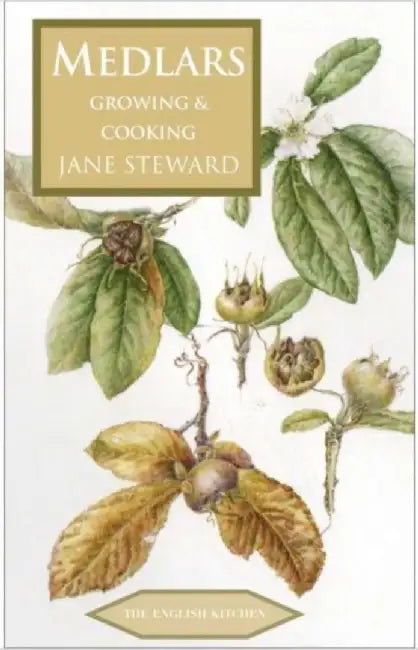 Medlars - Growing and Cooking