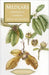 Medlars - Growing and Cooking
