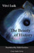 The Beauty of History by Viivi Luik