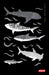 Diving Log Book: Sharks by Dived Up Publications, Bethan Buss
