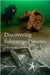 Discovering Submerged Stories: A Personal Dive into Britain's History by Duncan Ross