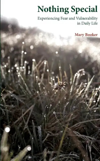 Nothing Special: Experiencing Fear and Vulnerability in Daily Life by Mary Booker