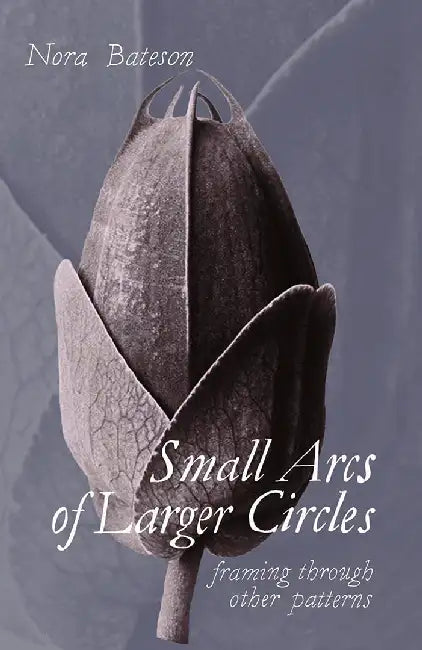Small Arcs of Larger Circles: Framing Through Other Patterns by Nora Bateson