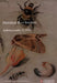 Hamilton Kerr Institute Bulletin Number 8, 2020 by Christine Braybrook, Felicity Campbell, Sally Woodcock