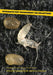 Integrated Pest Management for Collections by Suzanne Ryder