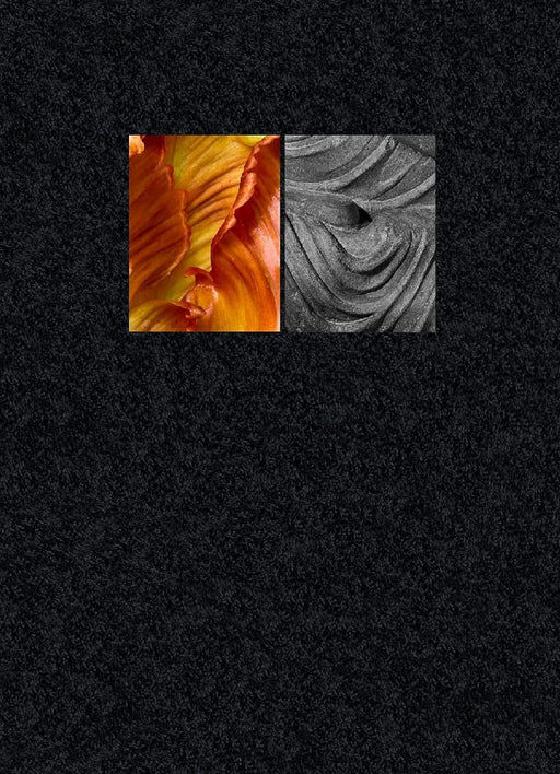 Pushpa by Ornan Rotem