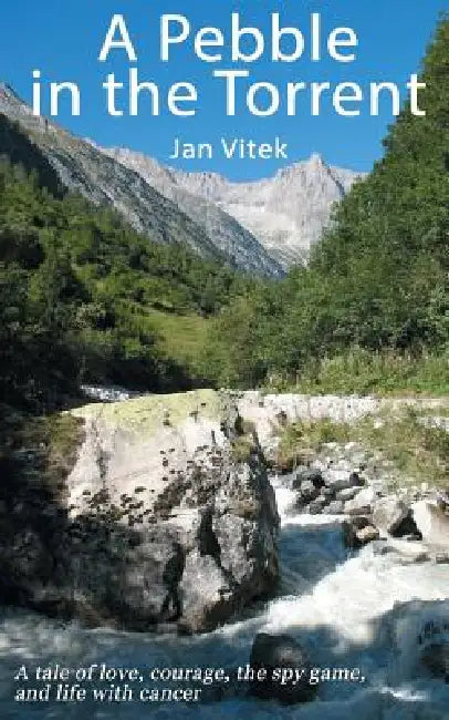 A Pebble in the Torrent by Jan Vitek