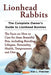 Lionhead Rabbits The Complete Owner's Guide to Lionhead Bunnies The Facts on How to Care for these Beautiful Pets, including Breeding, Lifespan, Perso by Ann L. Fletcher