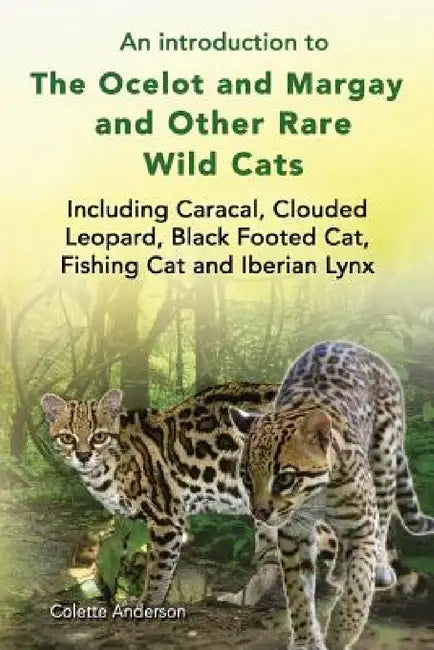 An introduction to The Ocelot and Margay and Other Rare Wild Cats Including Caracal, Clouded Leopard, Black Footed Cat, Fishing Cat and Iberian Lynx by Colette Anderson
