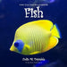 Draw Your Own Encyclopaedia Fish by Colin M. Drysdale