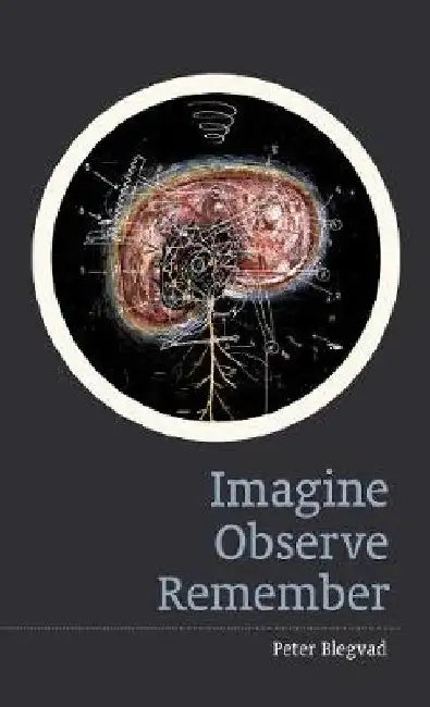 Imagine, Observe, Remember by Peter Blegvad