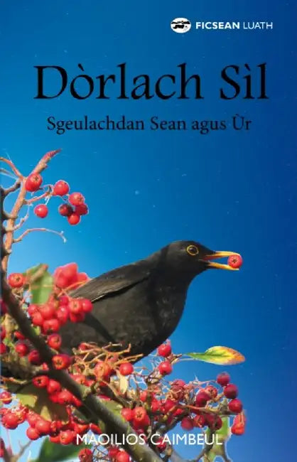 Dorlach Sil by Myles Campbell