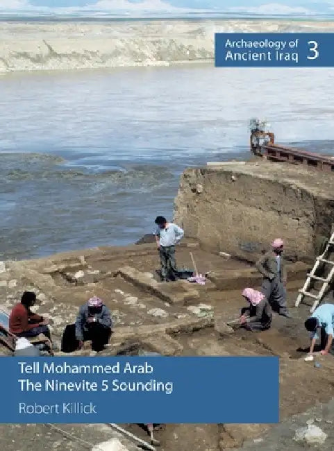 Tell Mohammed Arab by Robert Killick