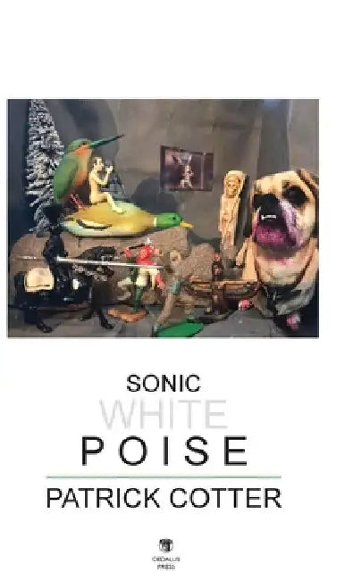Sonic White Poise by Patrick Cotter