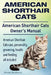 American Shorthair Cats. American Shorthair care, personality, health, grooming and feeding all included. American Shorthair Cats Owner's Manual. by Harvey Hendisson