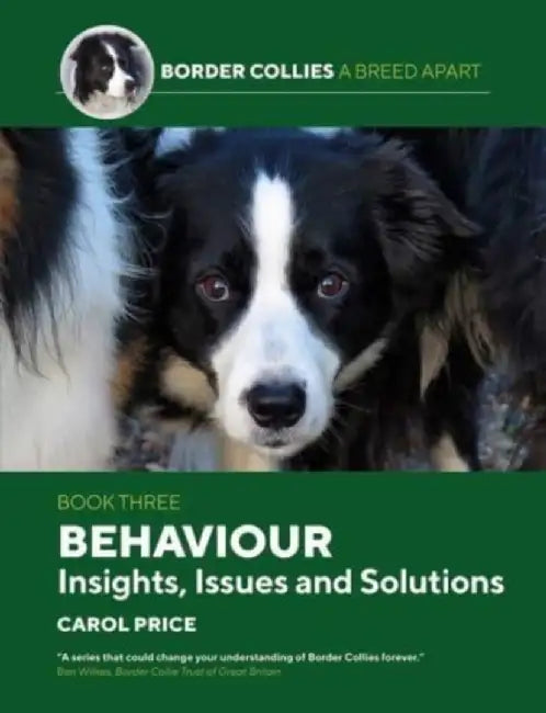 Behaviour: INsights, Issues and Solutions by Carol Price
