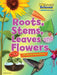 Roots, Stems, Leaves and Flowers by Ruth Owen