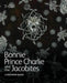 Bonnie Prince Charlie and the Jacobites: Souvenir Guide by David Forsyth