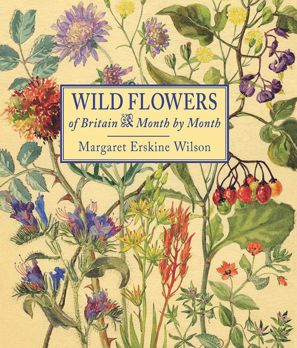 Wild Flowers of Britain: Month by Month