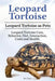 Leopard Tortoise. Leopard Tortoise as Pets. Leopard Tortoise Care, Behavior, Diet, Interaction, Cos by Team, Ben