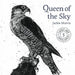 Jackie Morris Queen of the Sky Notecards Pack 2 by Jackie Morris