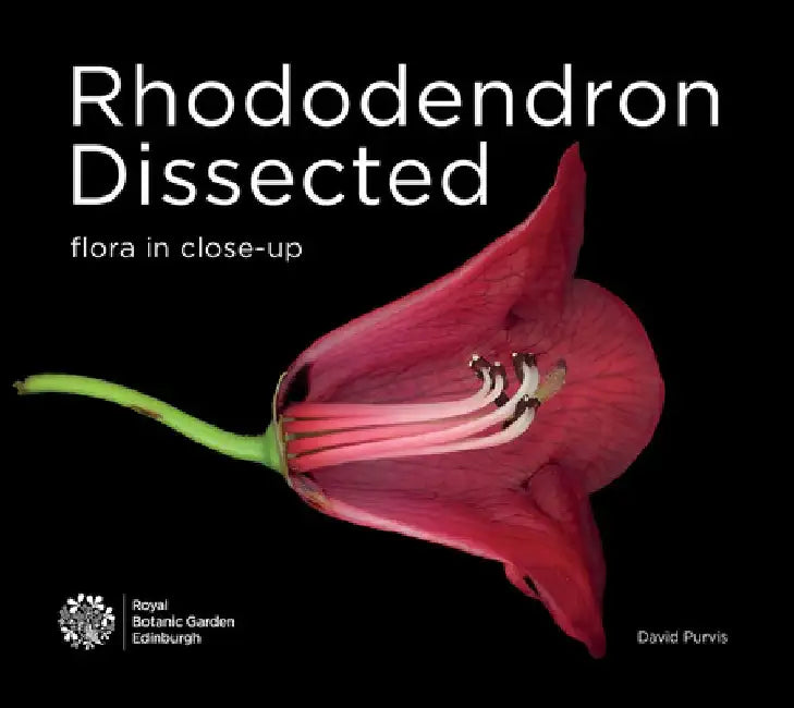 Rhododendron Dissected by David Purvis