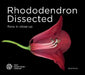 Rhododendron Dissected by David Purvis