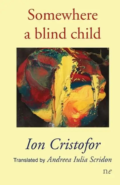 Somewhere a blind child by Ion Cristofor
