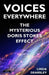 Voices Everywhere: The Mysterious Doris Stokes Effect by Linda Dearsley