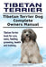 Tibetan Terrier. Tibetan Terrier Dog Complete Owners Manual. Tibetan Terrier book for care, costs, feeding, grooming, health and training. by Asia Moore