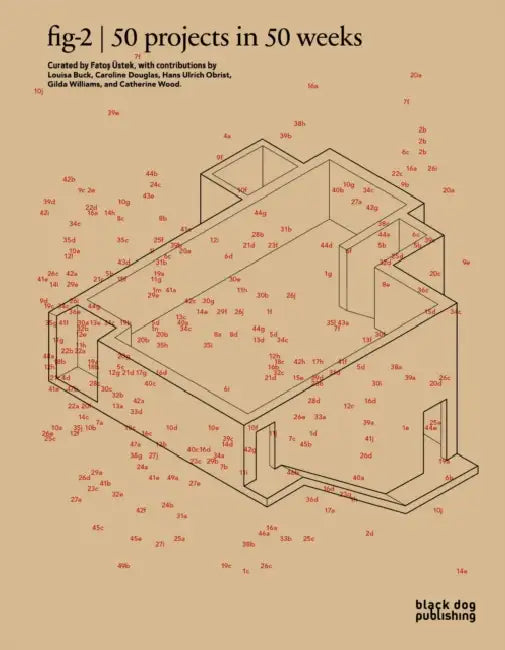 Fig-2: 50 Projects in 50 Weeks by Louisa Buck, Caroline Douglas, Hans Ulrich Obrist