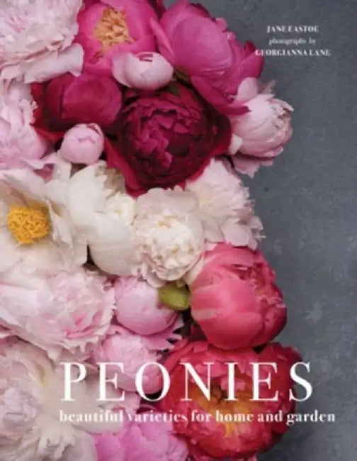 Peonies by Jane Eastoe