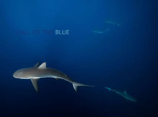 Call of the Blue by Philip Hamilton