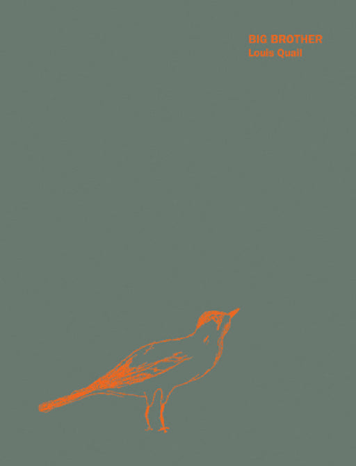 Big Brother by Louis Quail