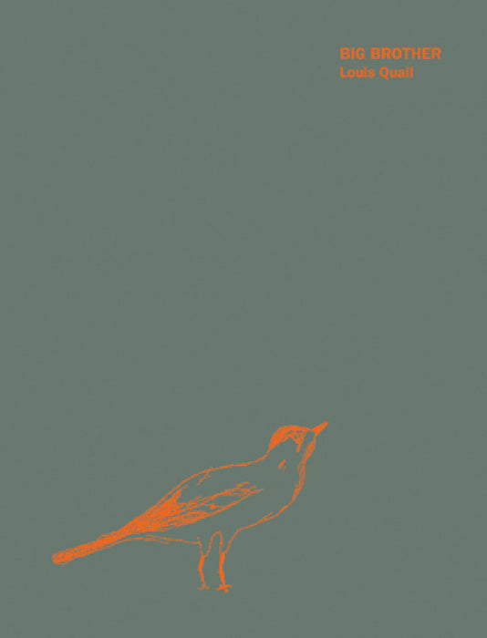 Big Brother by Louis Quail