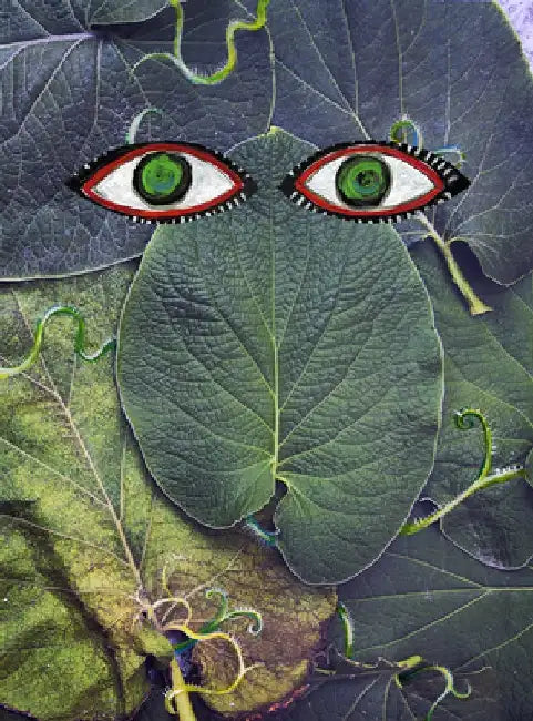 Hoja Santa by Maya Art