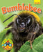 Wildlife Watchers: Bumblebee by Ruth Owen